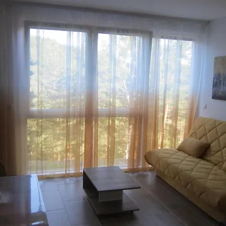 Apartment Planinac 05 Divcibare
